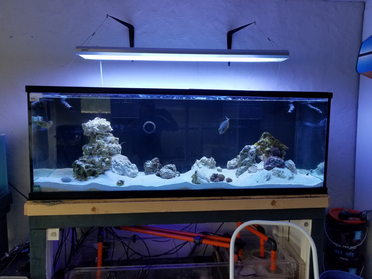 FTS1.jpg