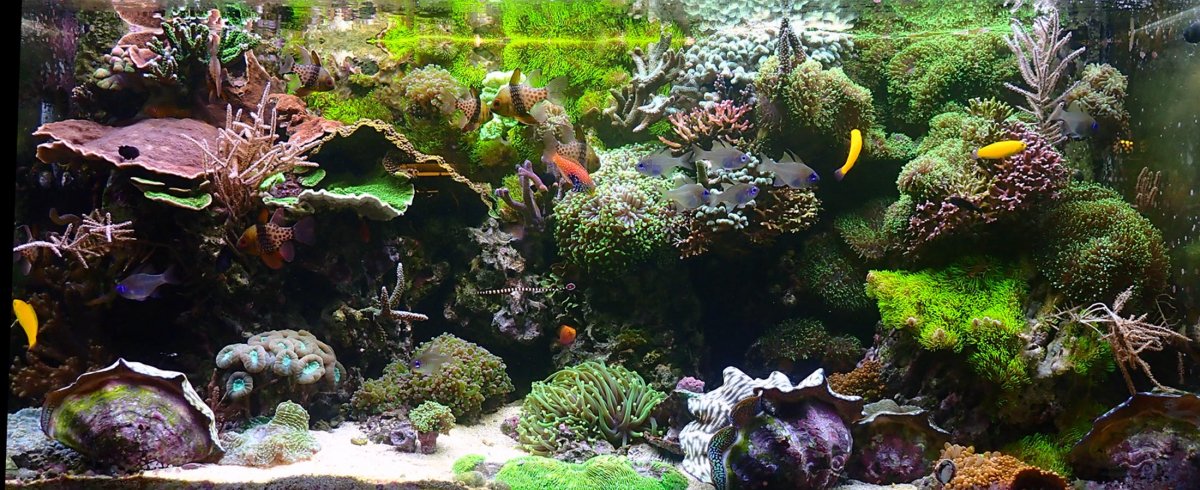 fts1.jpg