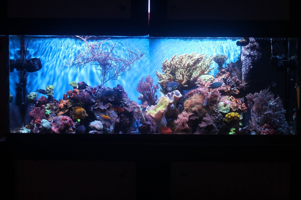 fts112.jpg