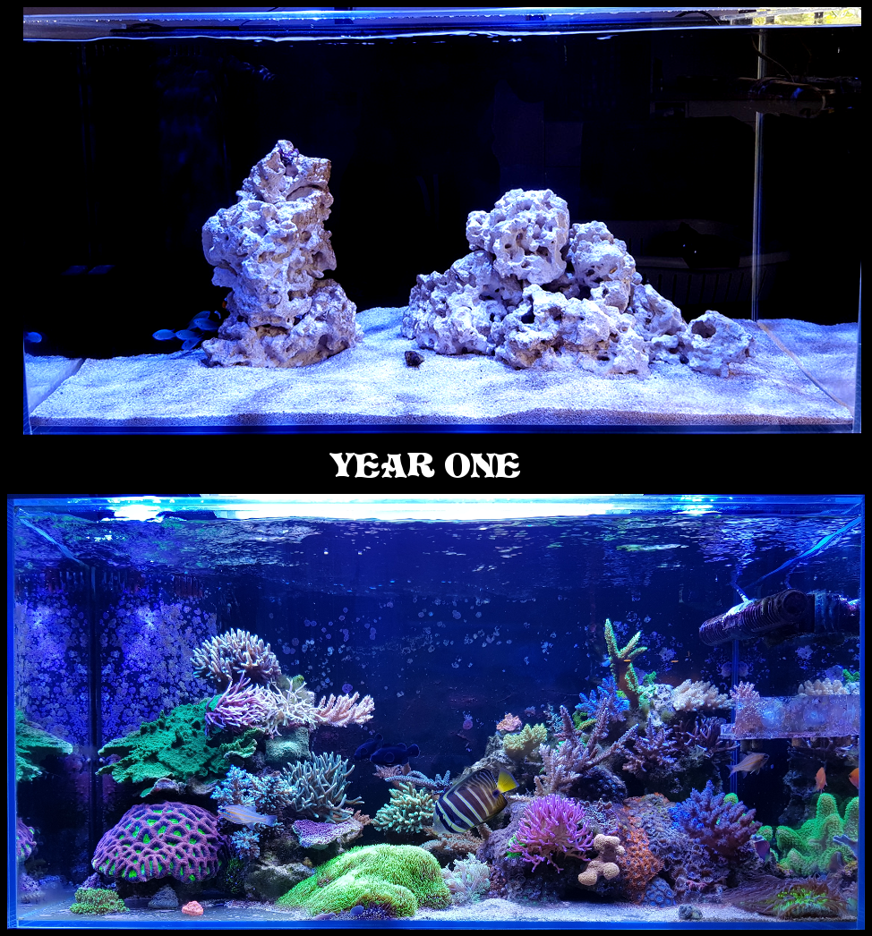 FTS1yrold.png