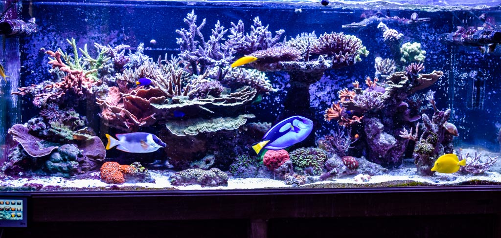 fts2-2-jpg.1623397