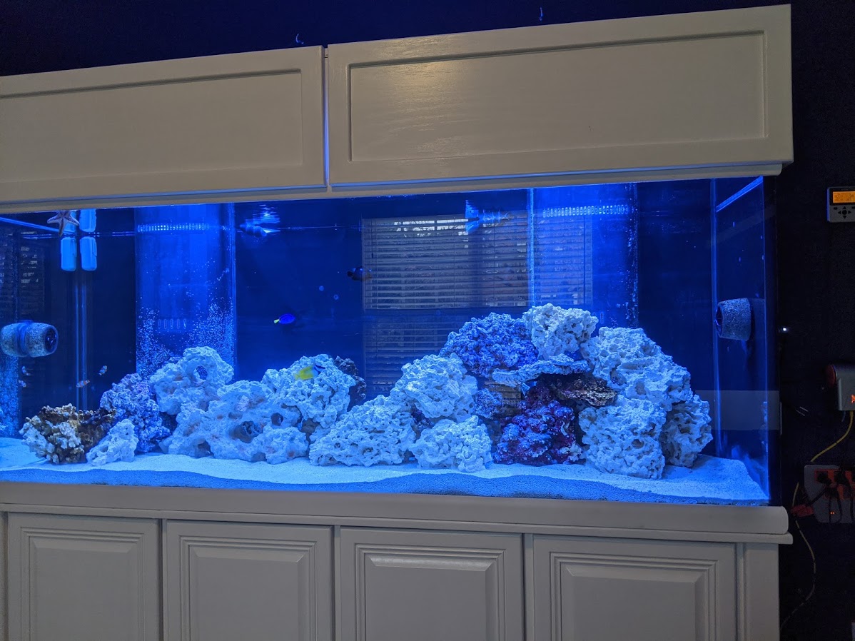 fts2.jpg
