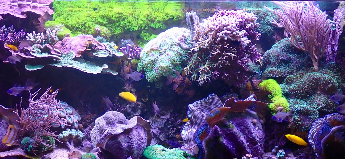 fts2.jpg