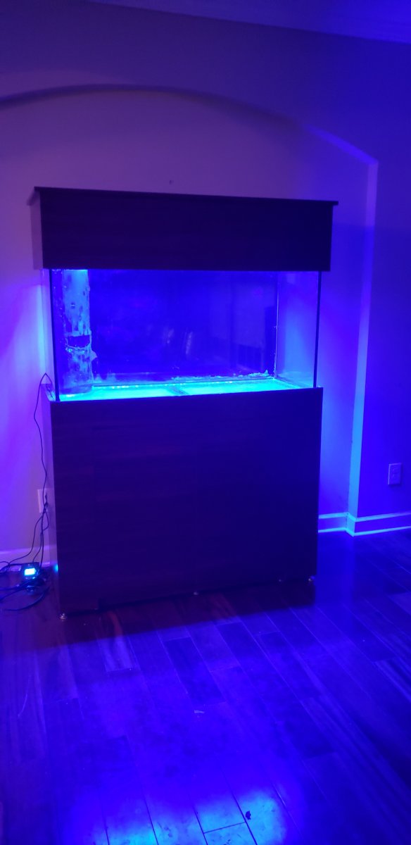 FTS2.jpg
