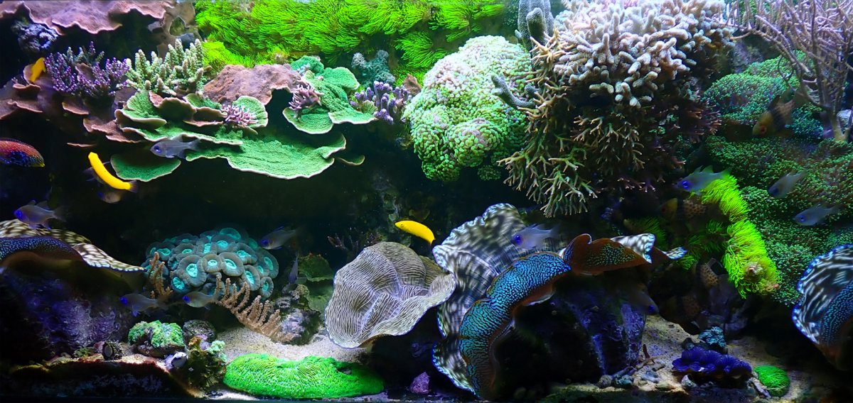 fts2.jpg