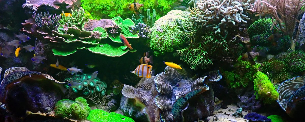 FTS2.jpg