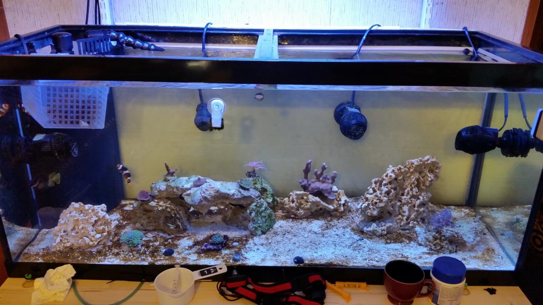 fts2.jpg