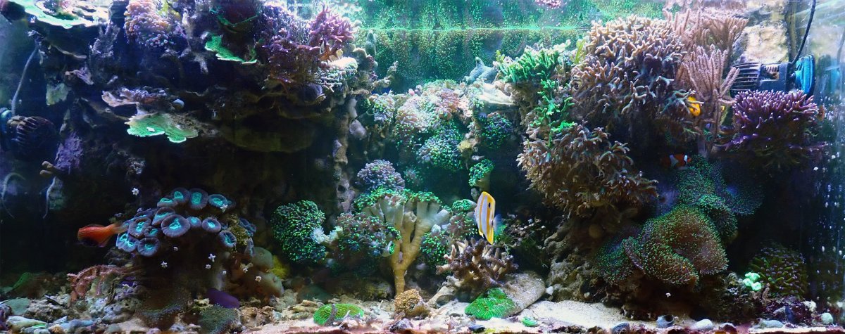 fts2.jpg