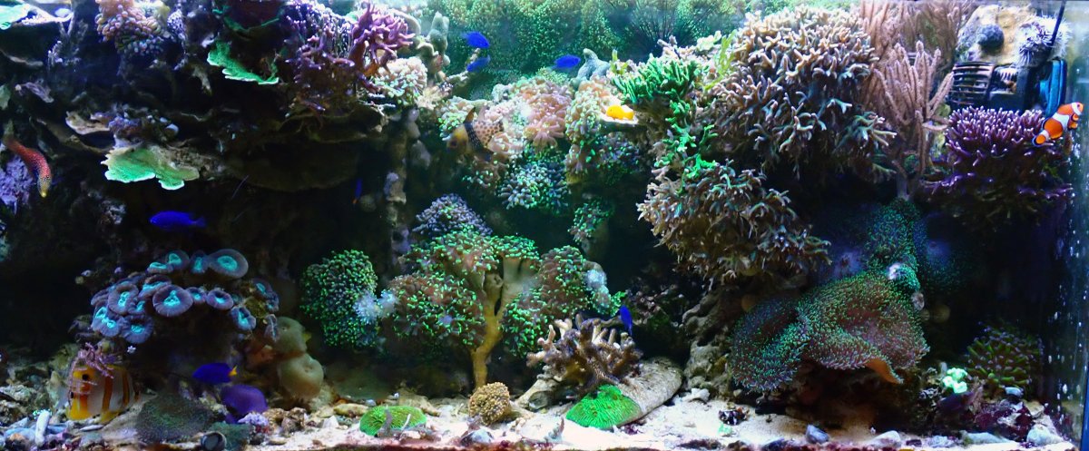 fts2.jpg