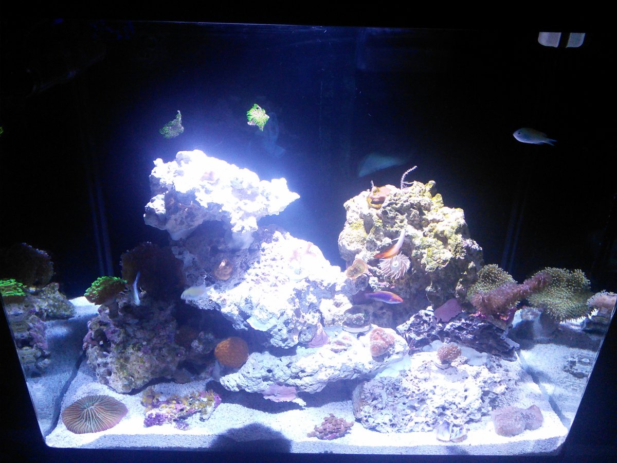 fts2.jpg