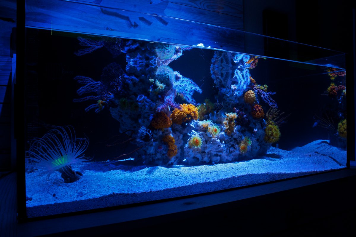 fts2.jpg