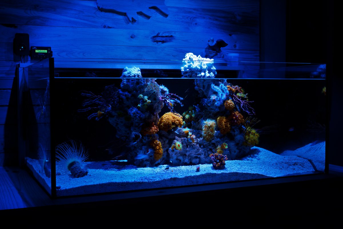 FTS2.jpg