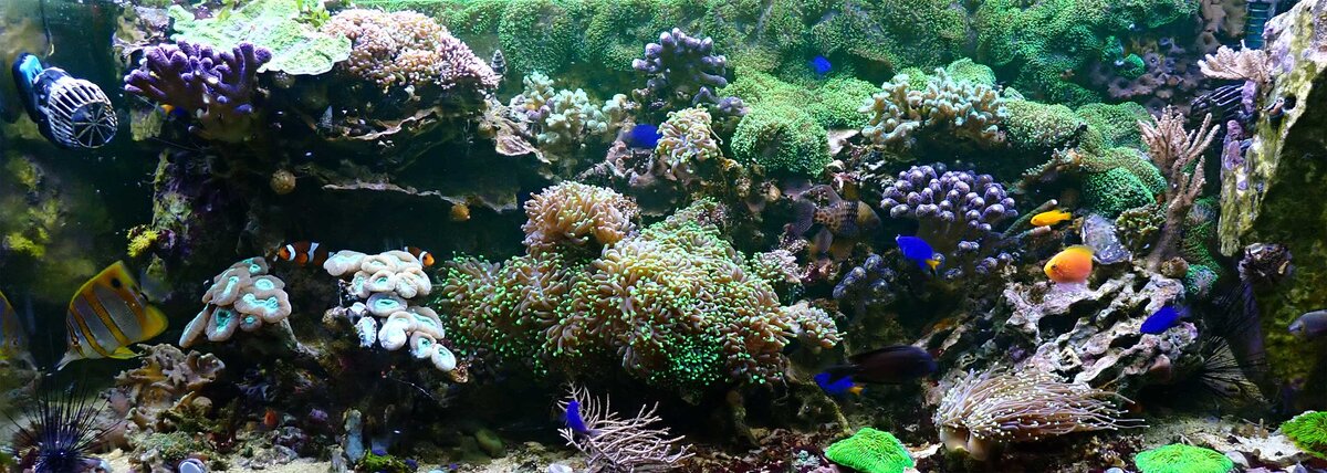 FTS2.jpg