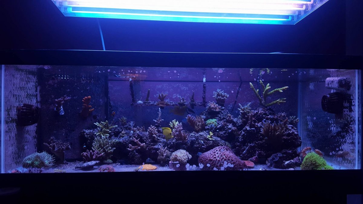 FTS2.jpg