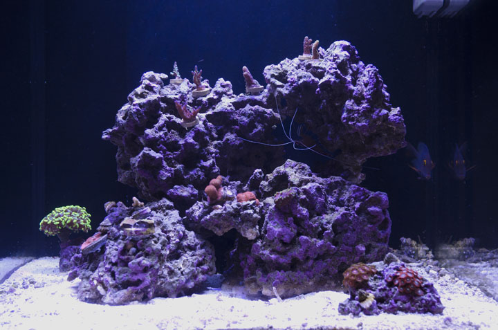 fts2.jpg