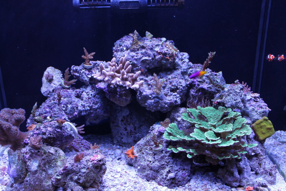 fts2.jpg