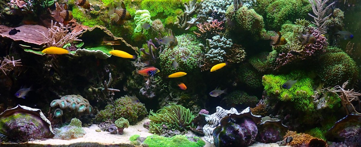 fts2.jpg