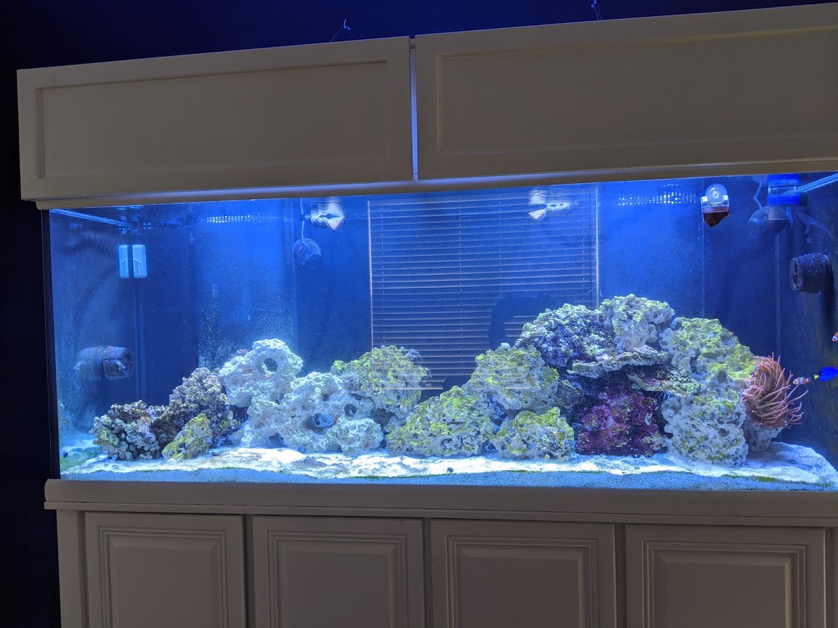 fts3.jpg