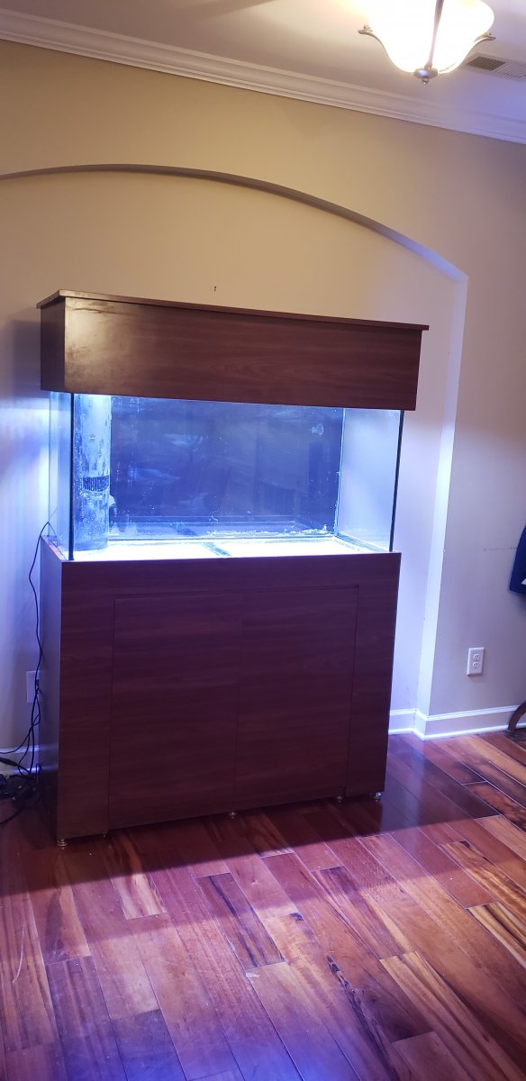 FTS3.jpg
