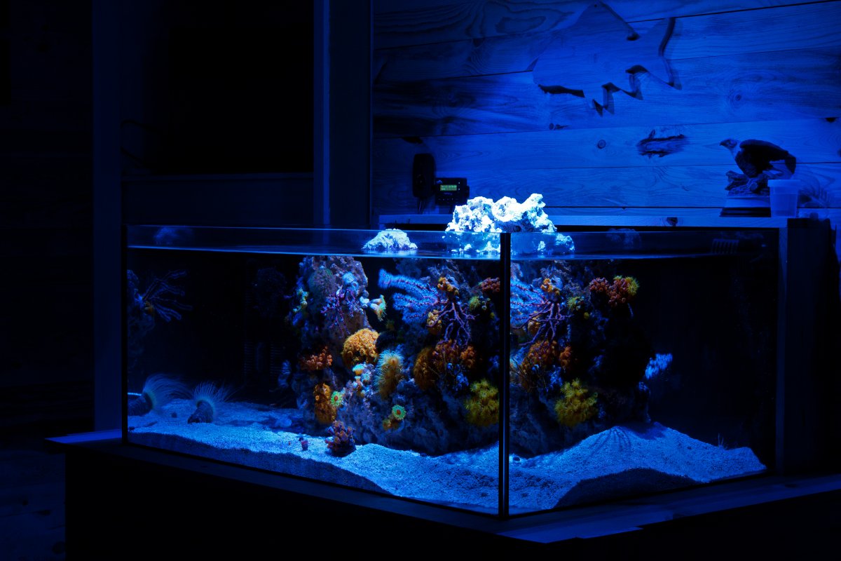 FTS3.jpg