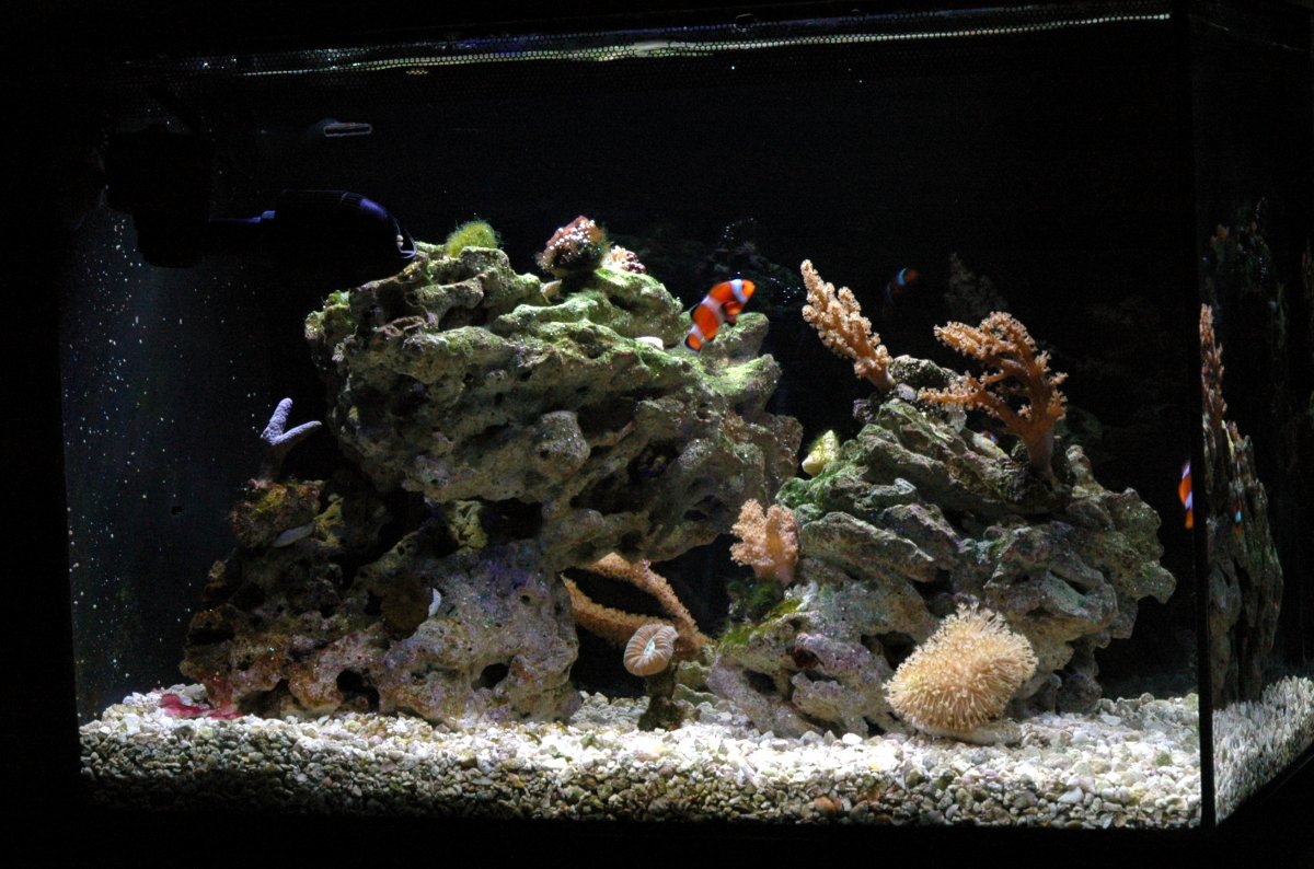 FTS416.JPG