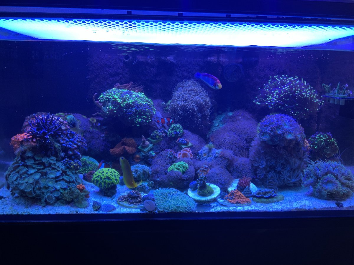 FTS7.2.20.jpeg