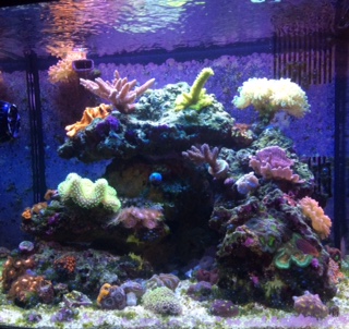 FTS82016.jpg