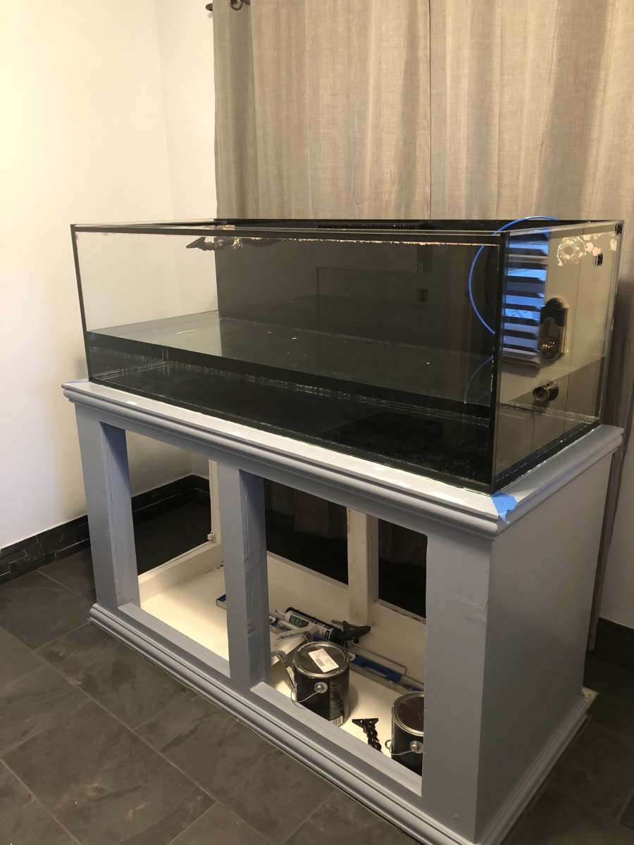 FTS_1.jpg