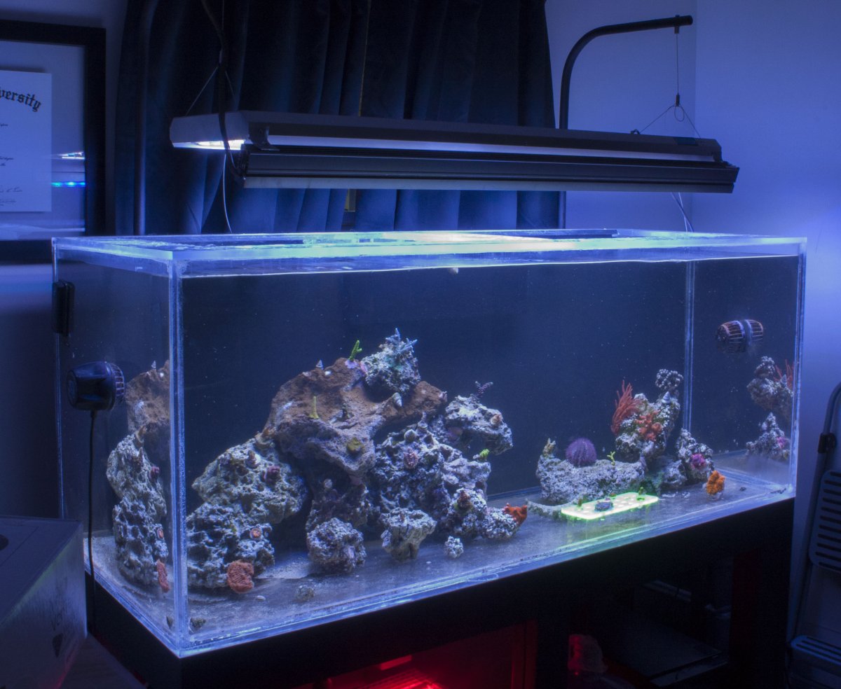 fts_1.jpg