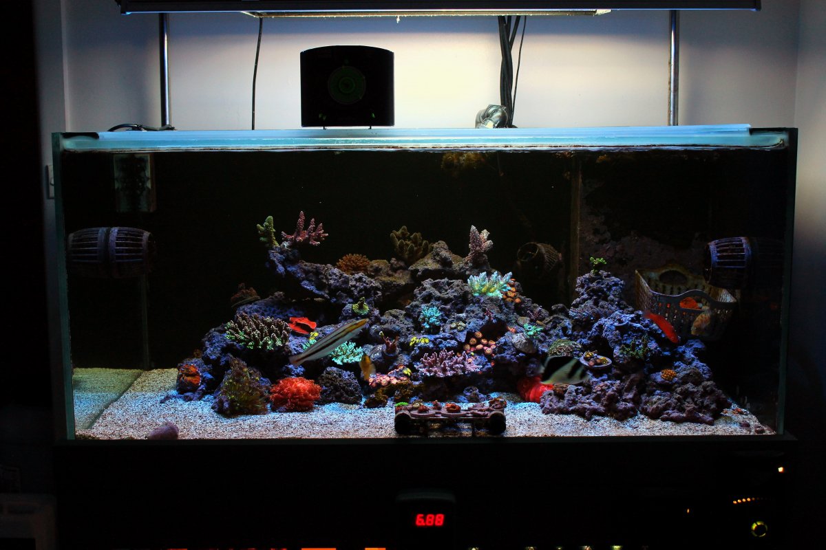 FTS_14052018.jpg