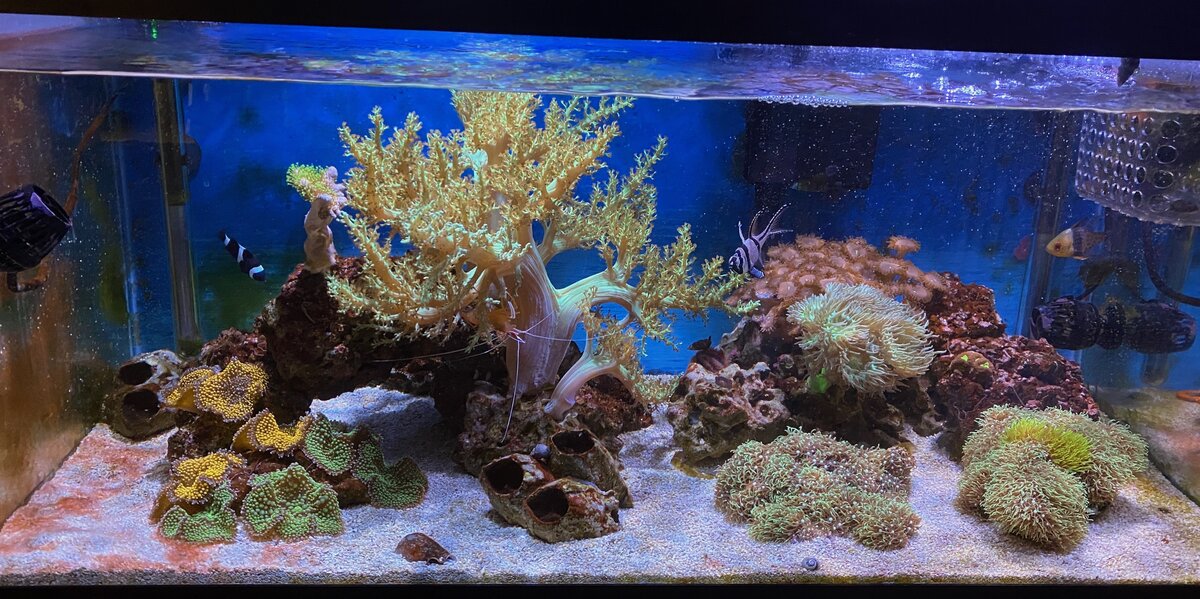 FTS_2025_0718.jpeg