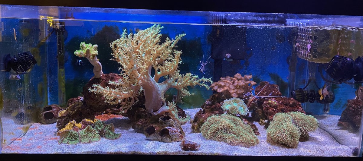 FTS_2025_4_1.jpeg