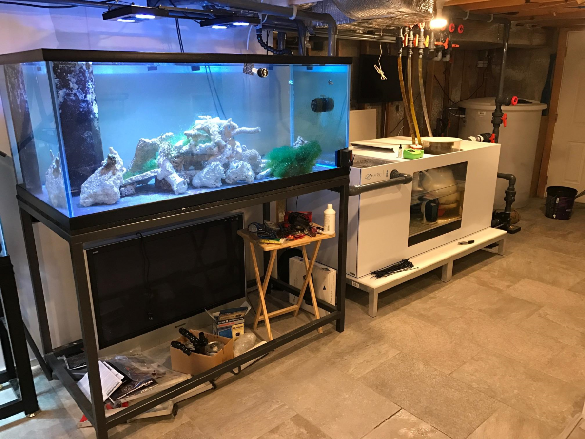 fuge and sump complete.png