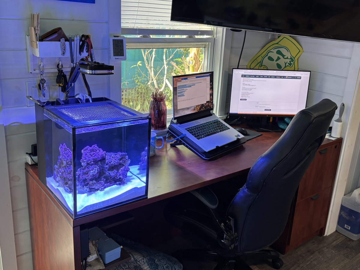 Full Desk Shot.jpeg