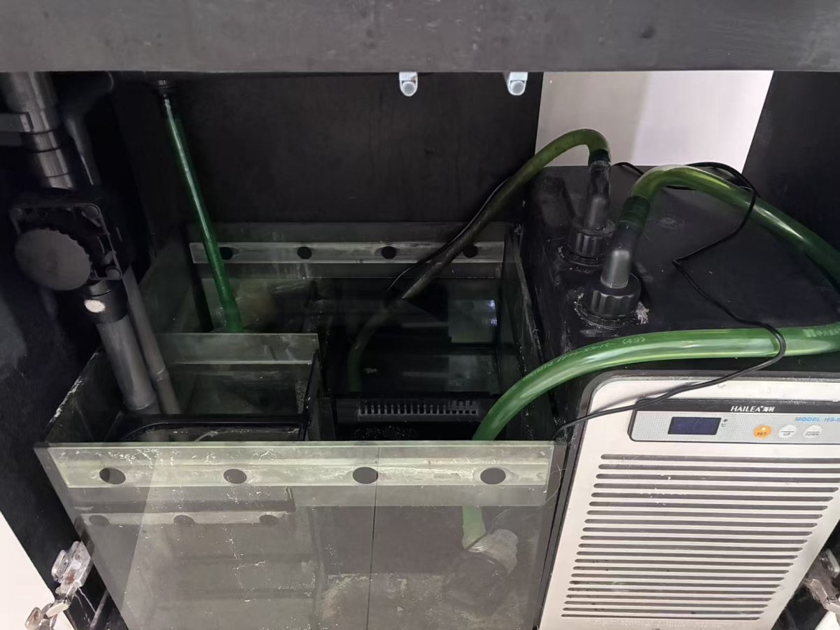 Full sump.jpg