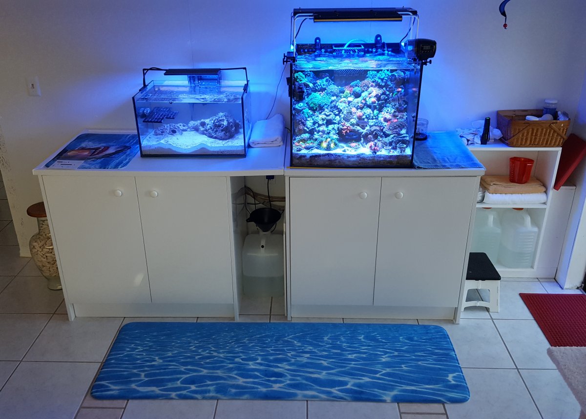 full system.jpg