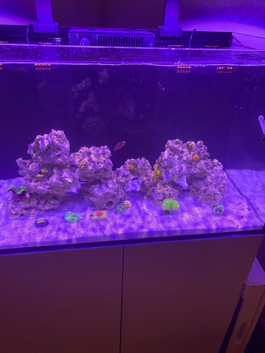 full tank 3.jpeg