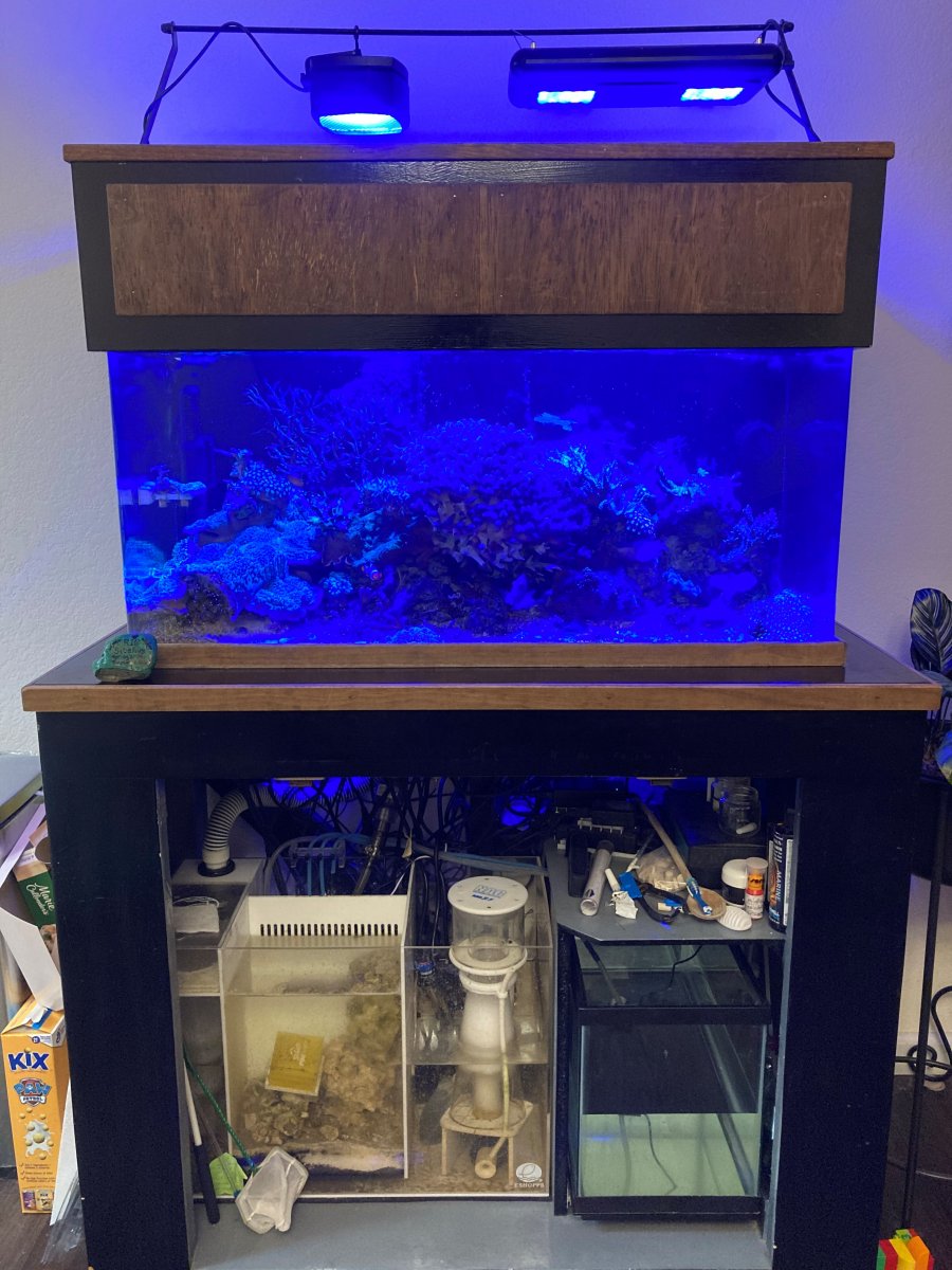 full tank.jpg