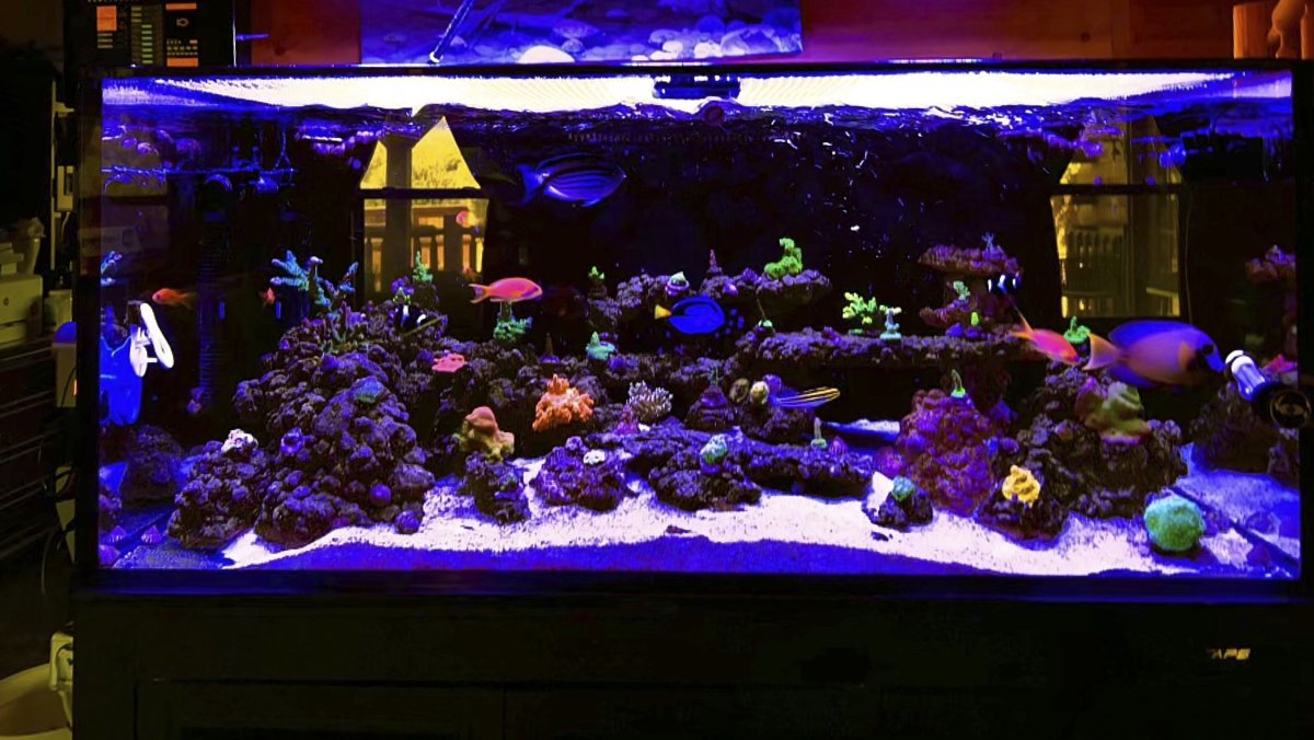 Full Tank.jpg