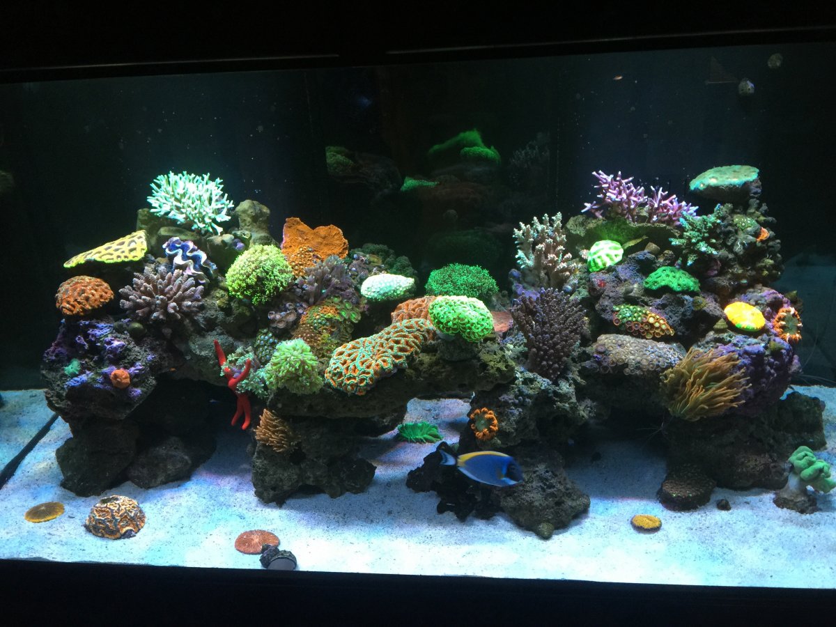 Full tank .jpg
