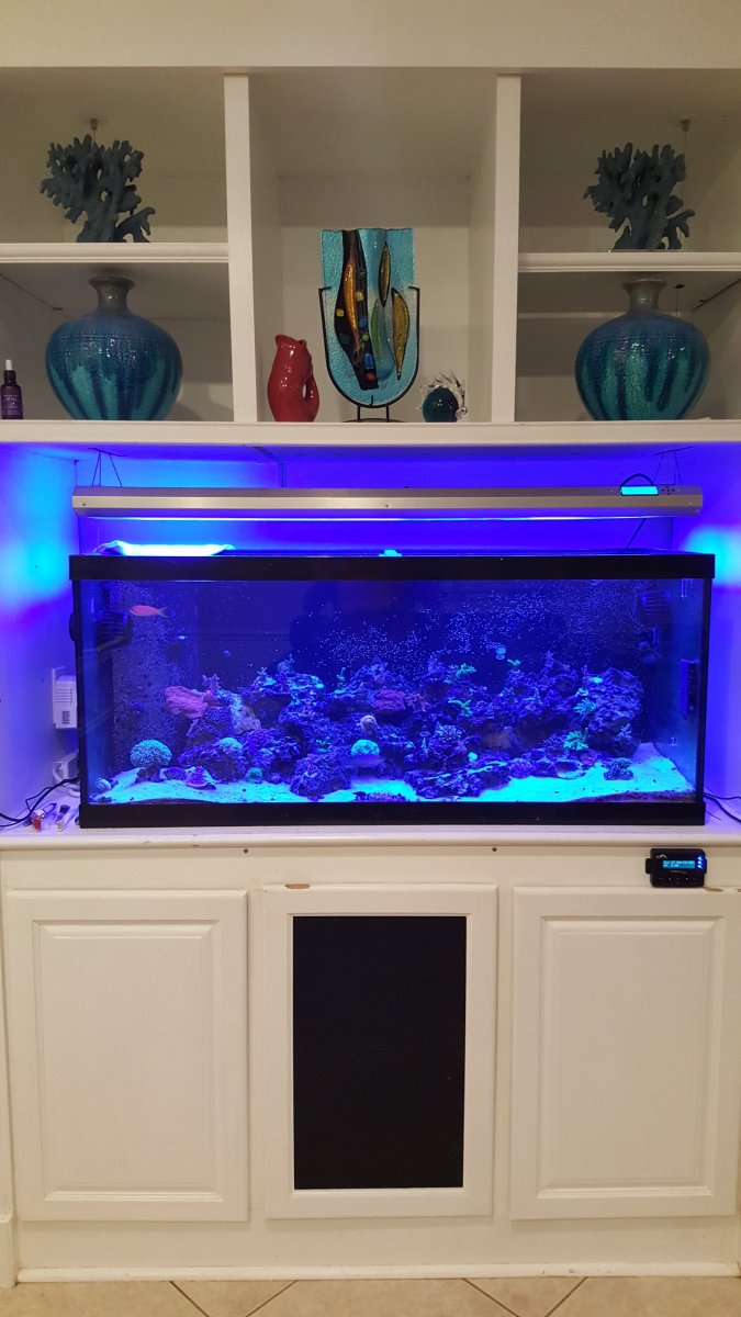 Full Tank1.jpg