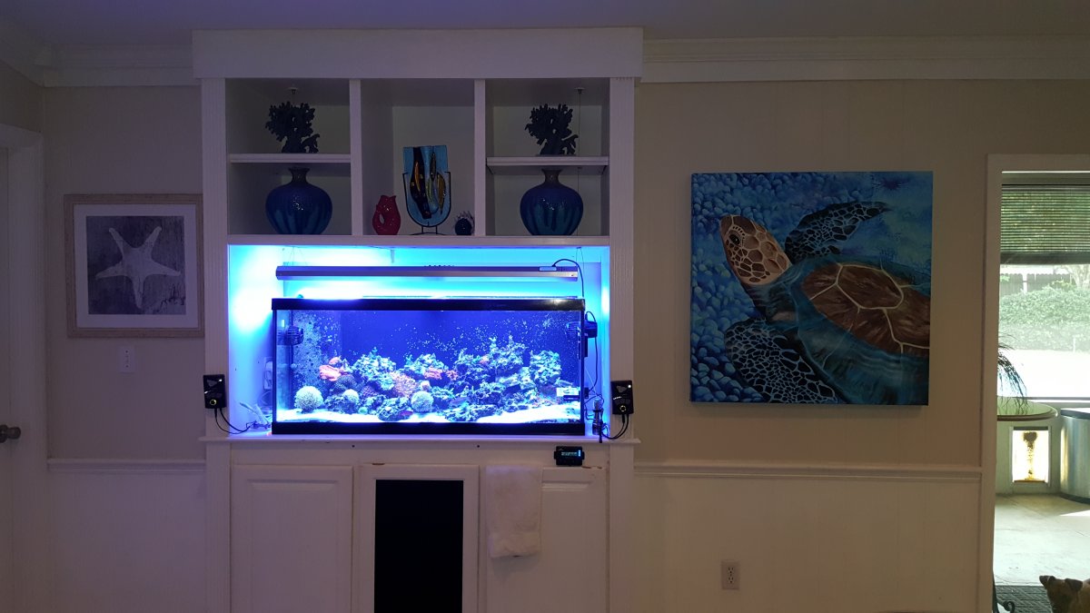 Full tank2.jpg