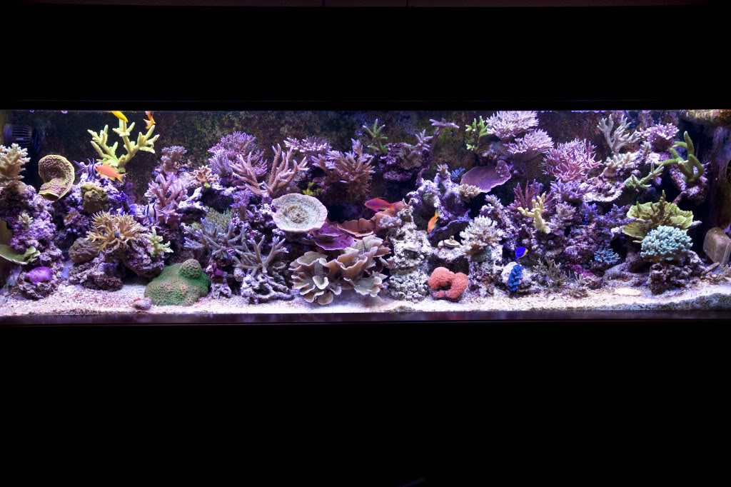 full125.jpg