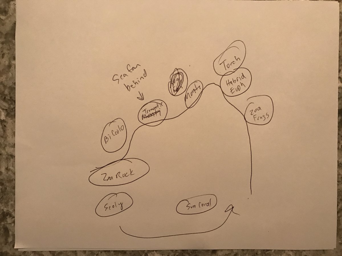 fullsizeoutput_2dad.jpeg