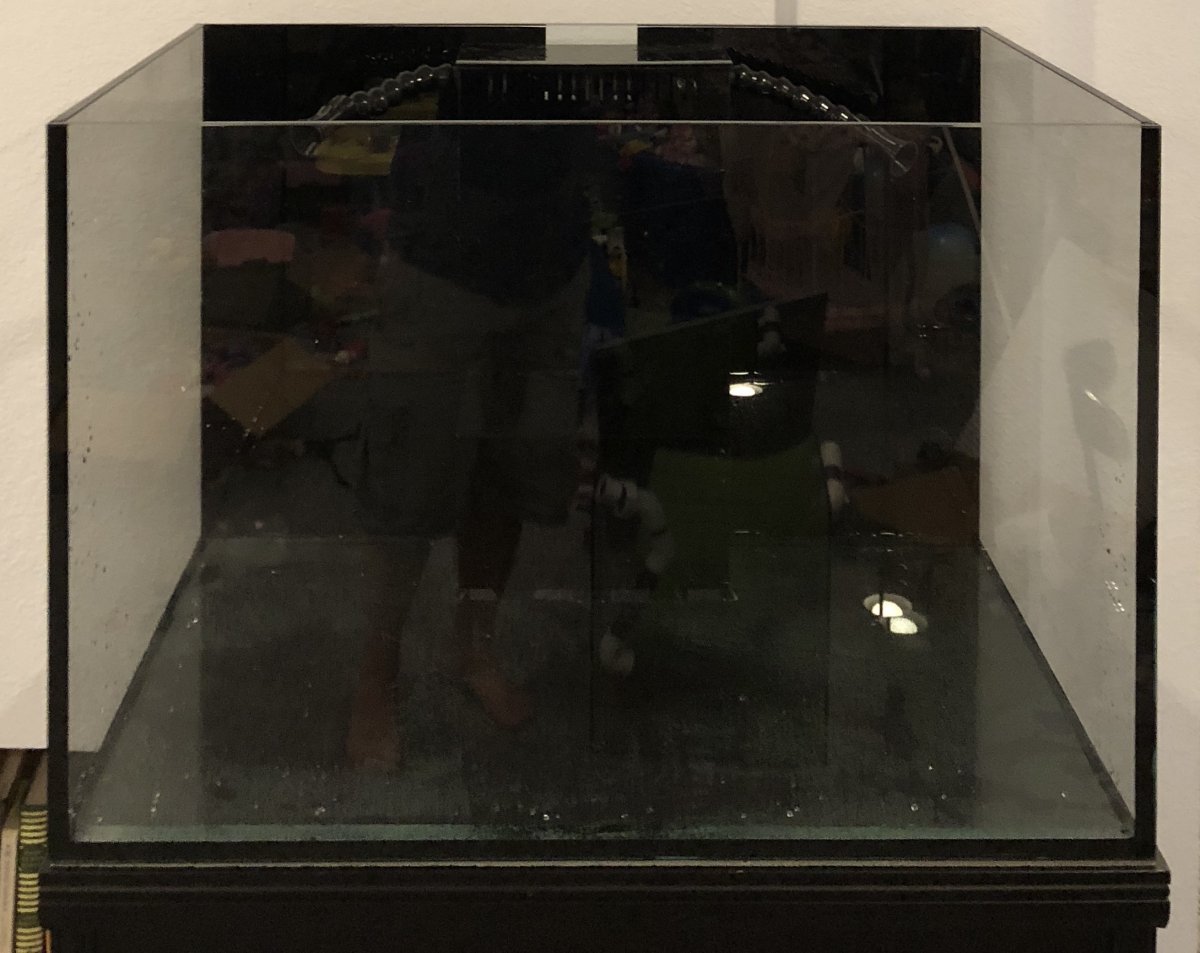 fullsizeoutput_78ba.jpeg