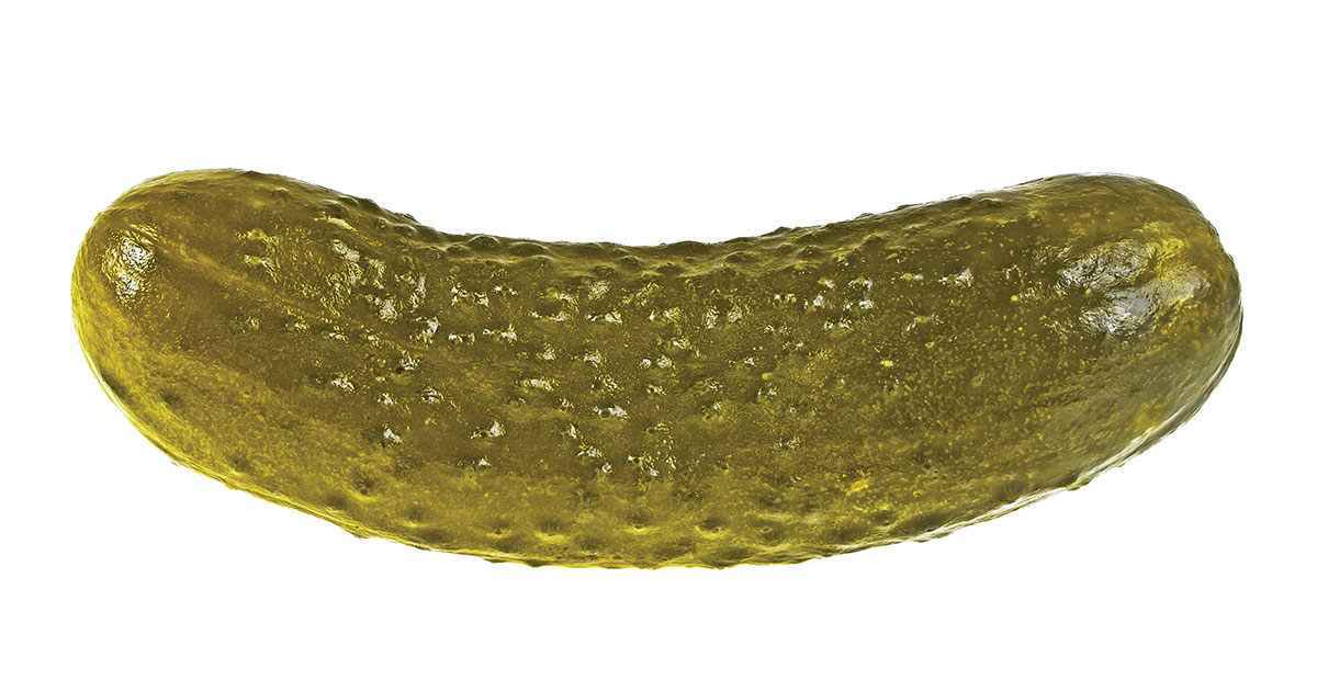 FW110-Pickles.jpeg