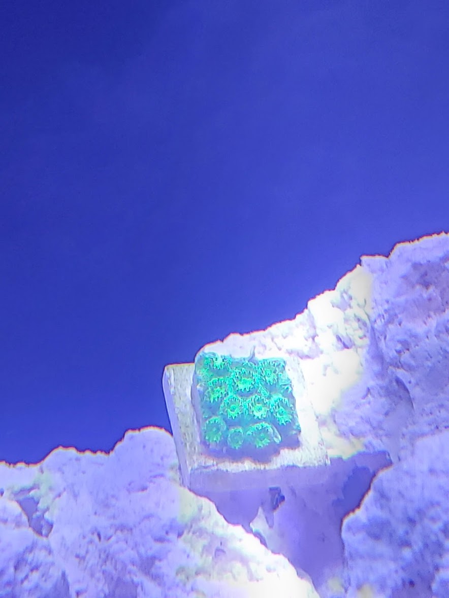 G.jpg