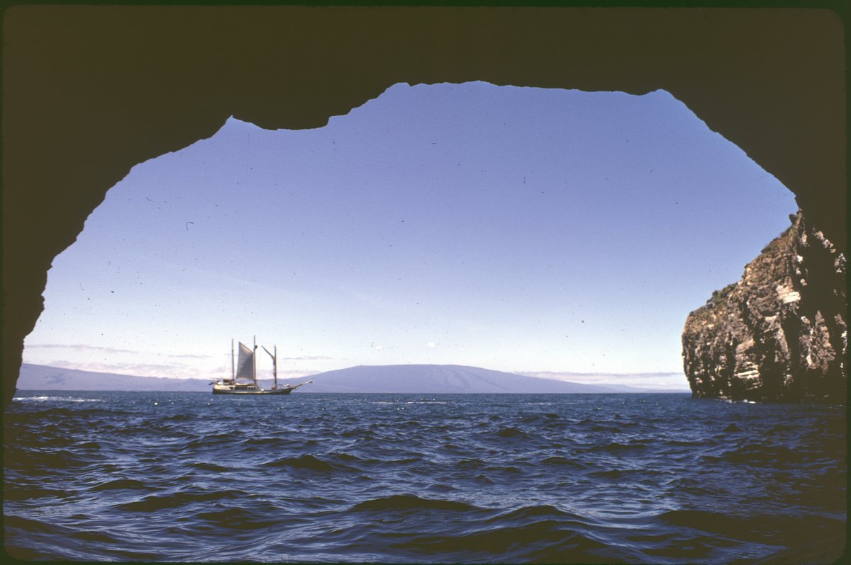 Galapagos_0008.JPG