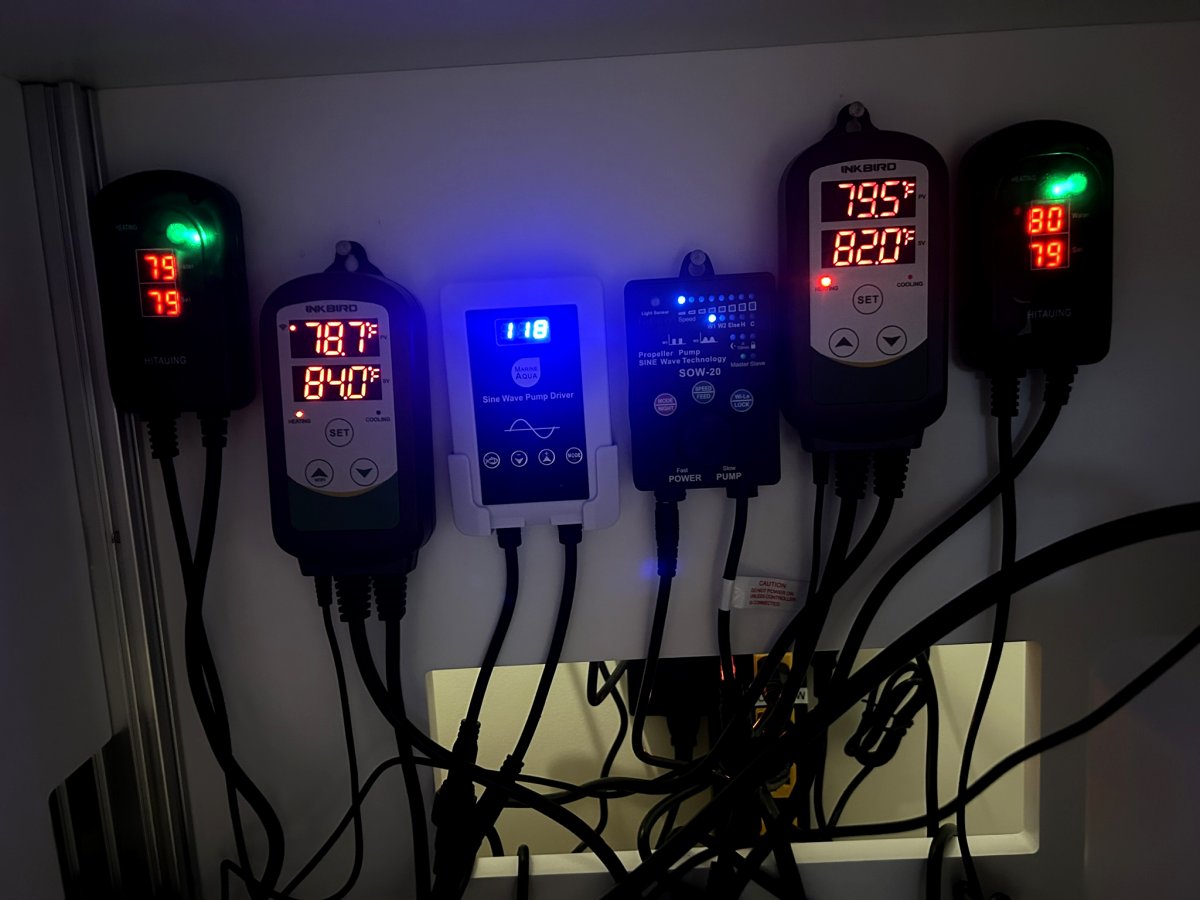 gauges3.jpg
