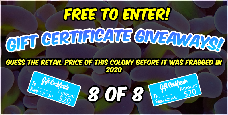 GC-Giveaways-8.png